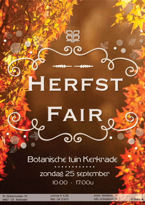 1638 Herfstfair1