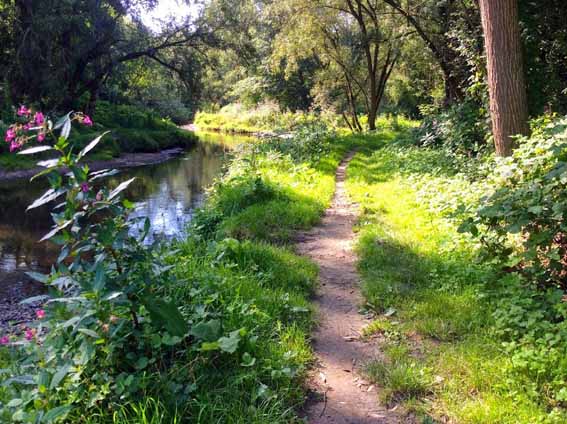 20160985wandelWorm