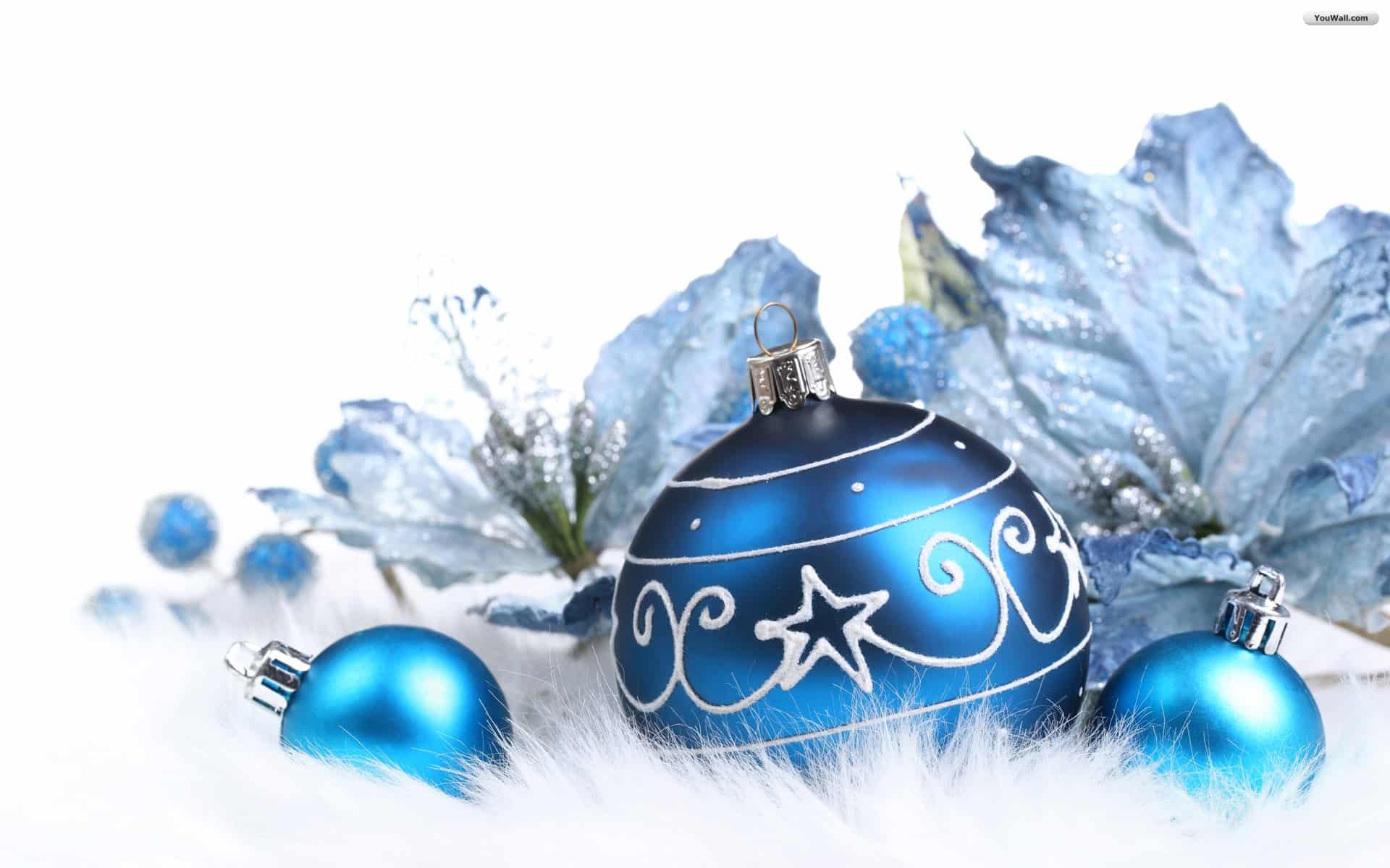 1648kerstwensen