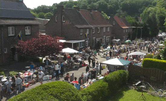 1717 Bosweg rommelm
