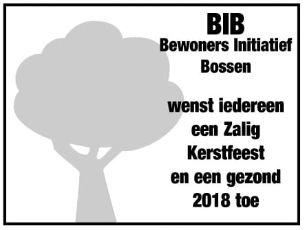 BIB