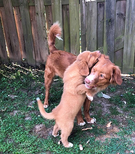 Molly en Max