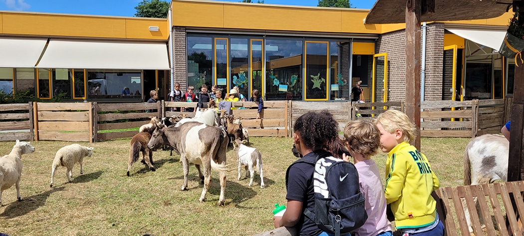 27 Dierenpark op school2