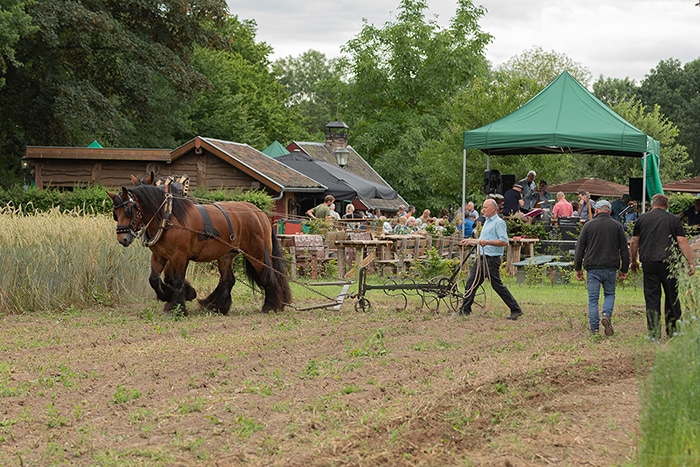 30 Trekpaarden Bakkes 09 1